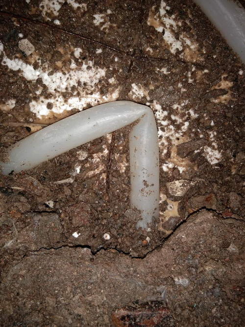 平陆堵点精准查找